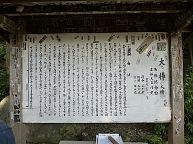 大楠の説明