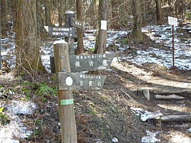 そろそろ山道に入ります