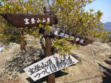 帰り道分岐
