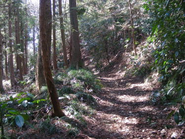 しっかりした道