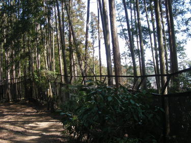 フェンス沿いに歩きます