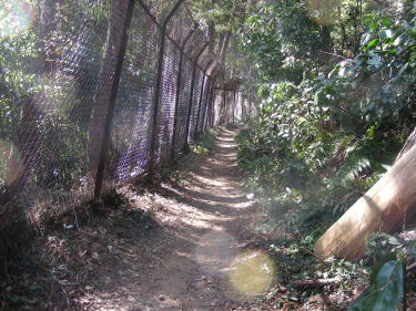 フェンスが長々と続きます。