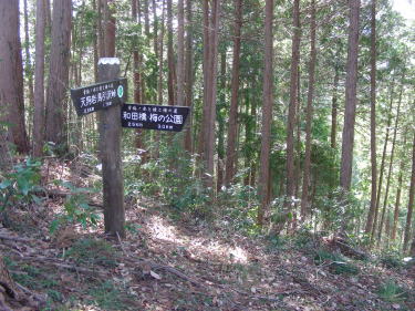 天狗岩への道標