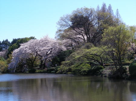 池