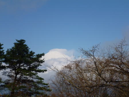 富士山