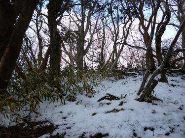 けっこう雪が積もっています