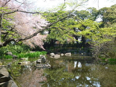 入ってすぐに池があります。