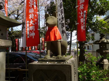 垂れ目の狐