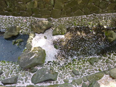 音無親水公園2