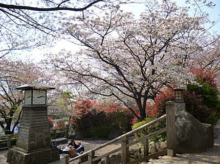 まだまだ桜が咲いています。