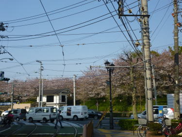 本郷通りから見た飛鳥山