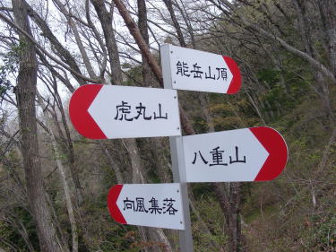 最初の分岐