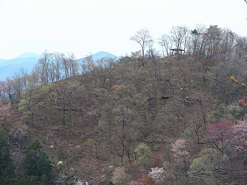 八重山の東屋