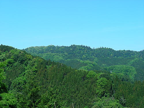 高尾山方向を望みます。