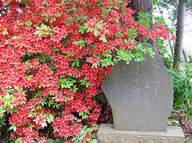 石碑には「右は富士 左は高尾・・・