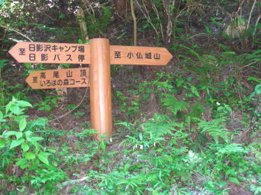 日影林道道標