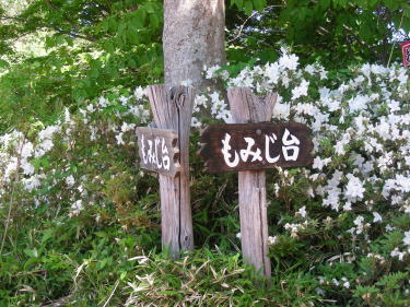 もみじ台