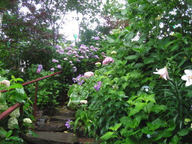 階段が続きます。