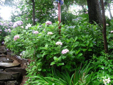 まだ階段が続きます。