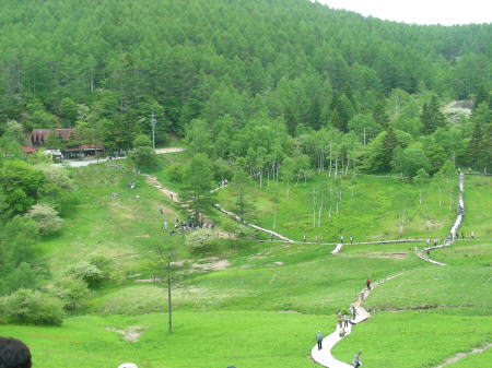 入笠湿原1