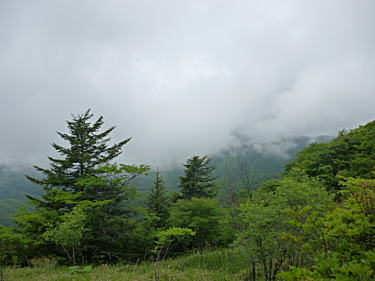 山梨側は霧の中