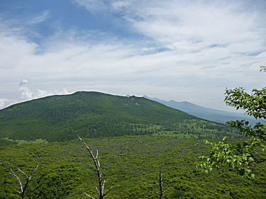 縞枯山