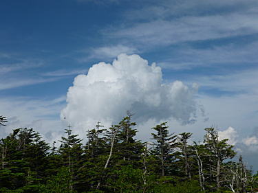 綿菓子みたいな雲