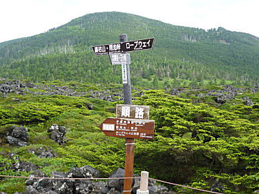 坪庭に戻ってきました