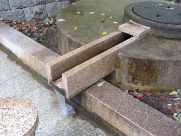 水を汲み上げ池に流しています