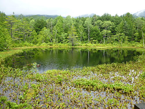 牛留池1