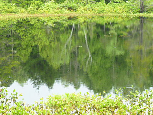 牛留池2