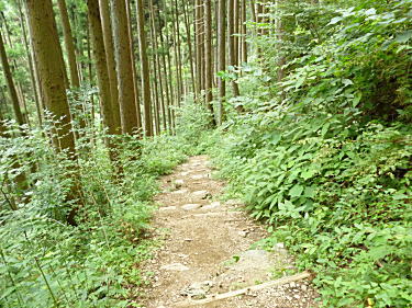 急坂2