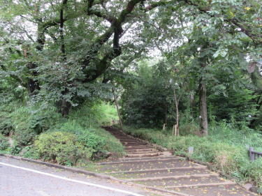 桜山への道