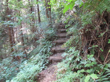 ここから登ります