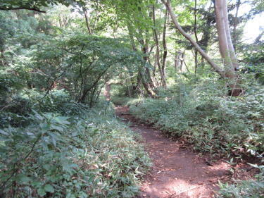 平らな道に出ました