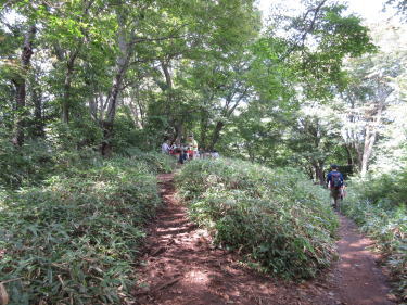 コンピラ山のベンチ