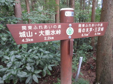 中沢峠に着きました