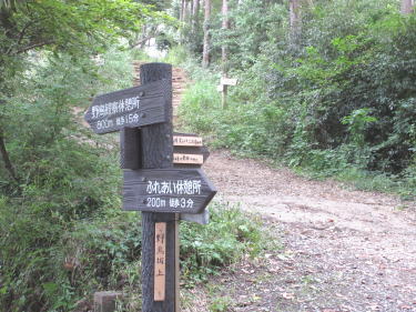 峰の薬師への分岐