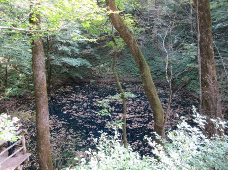 青池