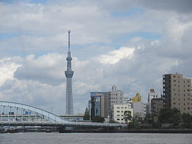 永代橋とスカイツリー