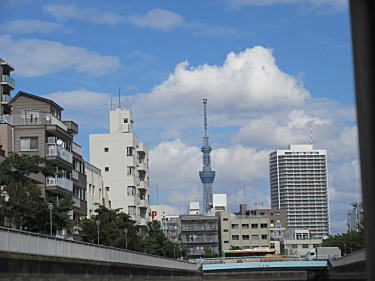 平久川から見たスカイツリー