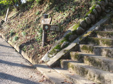 顕鏡寺の表参道