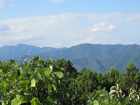 右は陣馬山、左奥は生藤山かしら?