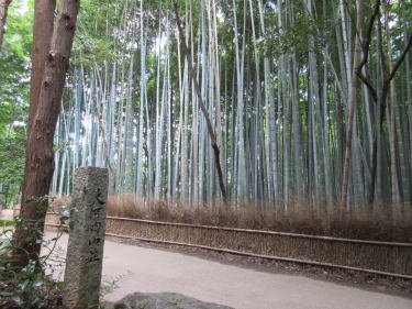 大河内山荘は寄らずに進みます。