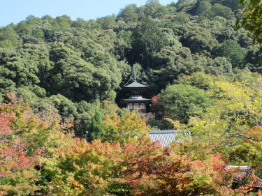 多宝塔