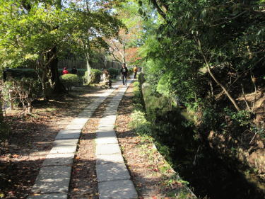 哲学の道1