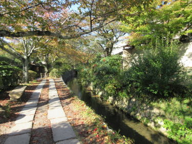 哲学の道4