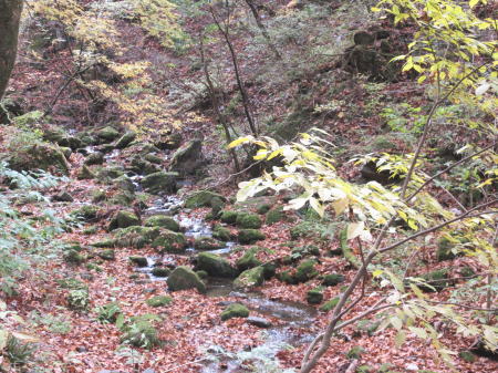 紅葉のロックガーデン入口