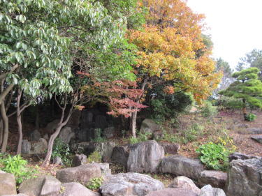 日本庭園風1