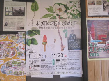 「未知の花を求めて」ポスター